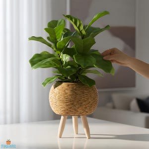 Puede incluir: Un juego de tres tazas de cerámica con un acabado mate moteado. Cada taza presenta un color diferente: azul claro, crema y gris. Las tazas tienen un diseño simple y moderno, para café o té.