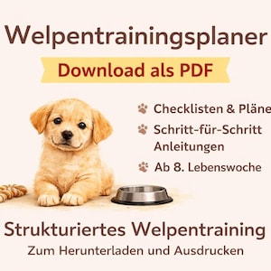 Könnte beinhalten: Werbung für einen Welpentrainingsplan als digitaler Download. Das Bild zeigt einen goldenen Welpen, eine Metallschüssel und deutschen Text. Der Text enthält "Welpentrainingsplaner" und "Download als PDF".