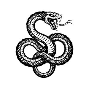 以下が含まれることがあります： 白黒で描かれた、うねった姿勢のヘビの精巧なイラスト。ヘビの頭は持ち上がり、口を開き、牙と二股に分かれた舌を見せています。デザインは複雑で、鱗と陰影が描かれています。