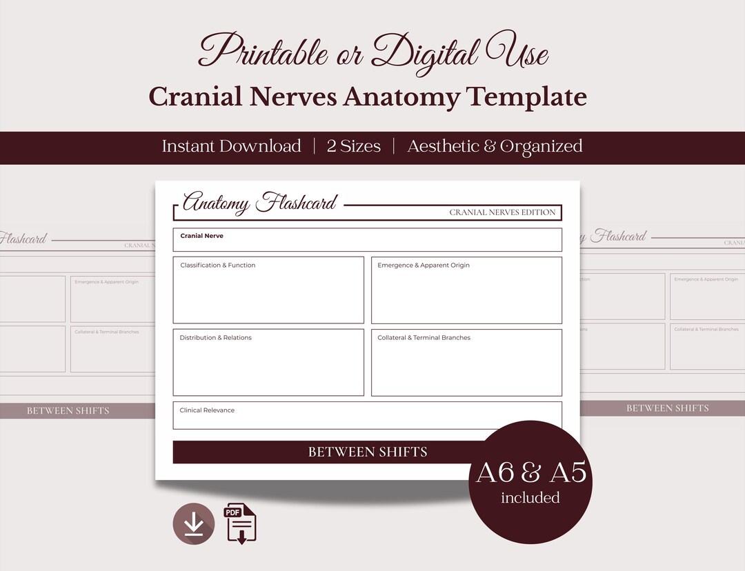 Cranial Nerves Anatomy Flashcards | Med & Nursing Student Study Guide ...