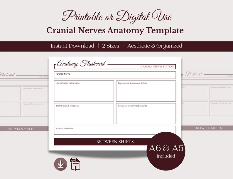 Cranial Nerves Anatomy Flashcards | Med & Nursing Student Study Guide ...