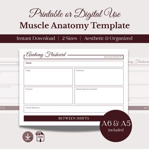Op de afbeelding: Esthetisch ontworpen spieranatomie sjabloon voor printbaar of digitaal gebruik. Het ontwerp bevat een flashcard met secties voor spier, oorsprong, aanhechting, functie, bloedtoevoer en klinische relevantie. Beschikbaar in A6 en A5 formaten.