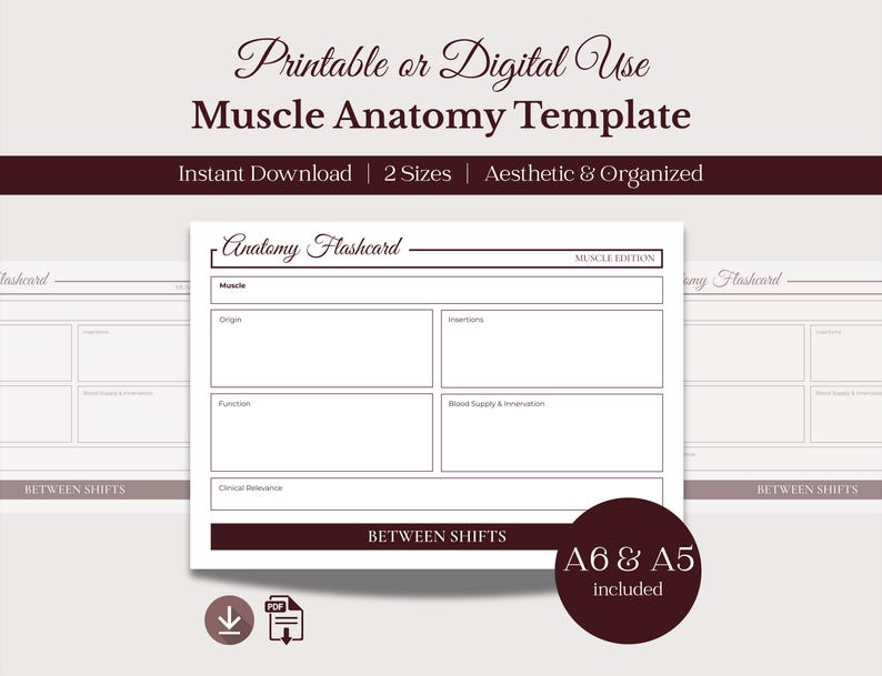 Muscle Anatomy Template PDF | Med Student Flashcards | Nursing Revision ...