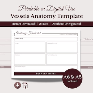 May include: A printable or digital Vessels Anatomy Template with the text "Instant Download" and "2 Sizes". The design includes an anatomy flashcard with sections for Vessel/Nerve, Origin, Relations, Collateral Branches, Terminal Branches, and Topographic Region.