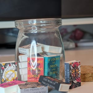 May include: A clear glass jar filled with miniature book replicas, including titles like A Court of Thorns and Roses, A Court of Mist and Fury, The Crown of Gilded Bones, The War of Two Queens, and A Soul of Ash and Blood, with a cork lid nearby.