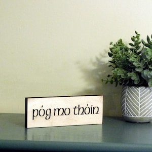 May include: A wooden sign with the Irish phrase "póg mo thóin" written in black lettering. The sign is sitting on a light blue surface with a potted plant in the background.