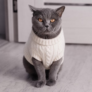 以下が含まれることがあります： オレンジ色の目をした灰色の猫が、クリーム色のケーブルニットセーターを着ています。セーターにはリブ編みの襟と前面に縦方向の編み込み模様があり、猫の胴体にぴったりとフィットし、前足は露出した状態になっています。