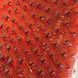 May include: Close-up of a textured, reddish-brown leather surface. The leather has a pattern of small, dark, raised bumps, creating a unique tactile appearance. The material appears to be a high-quality leather product.