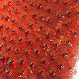 May include: Close-up of a textured, reddish-brown leather surface. The leather has a pattern of small, dark, raised bumps evenly spaced across the surface. The texture suggests a high-quality material, possibly used for a bag or other accessory.
