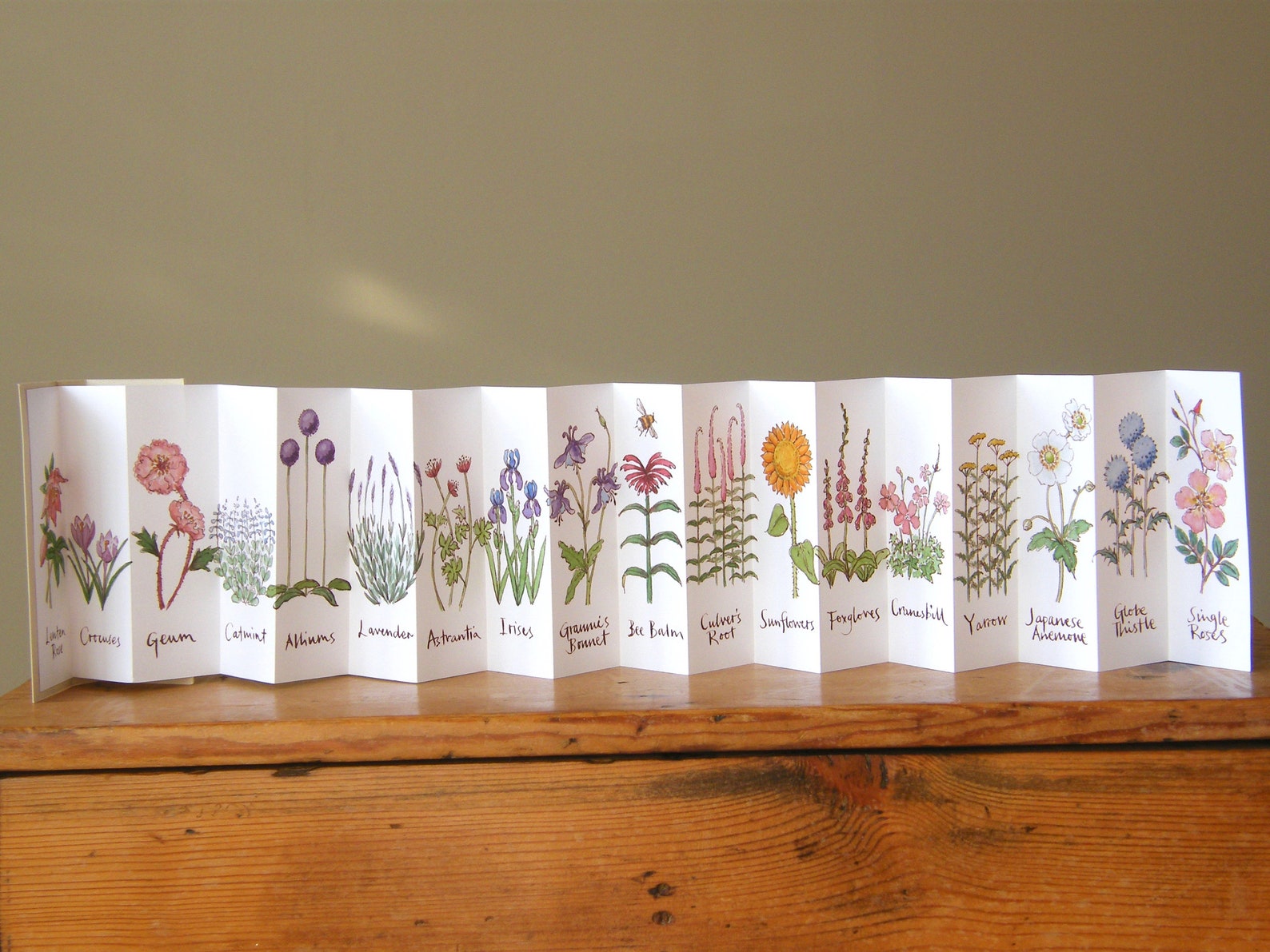 Artists' Books: 'flowers for Bees', ' Flowers for Butterflies ...