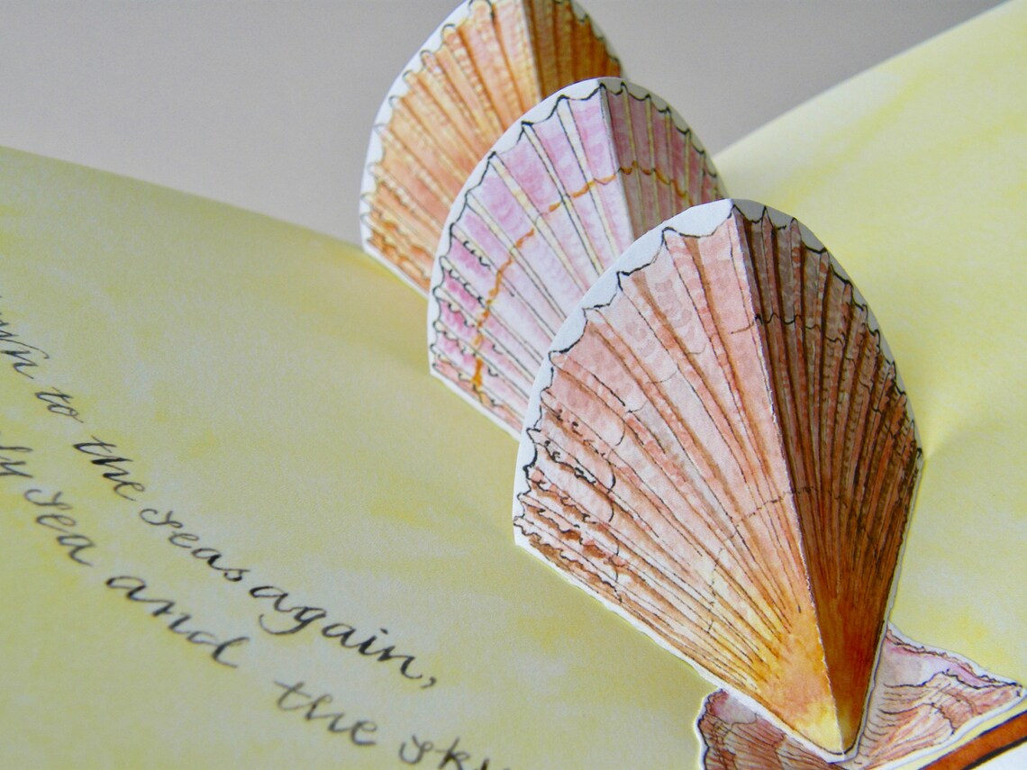 Shells a Limited Edition Handmade Pop-up Artists's Book - Etsy