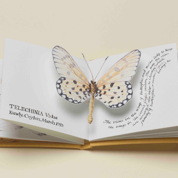 Butterflies - a limited edition handmade pop-up artists' book