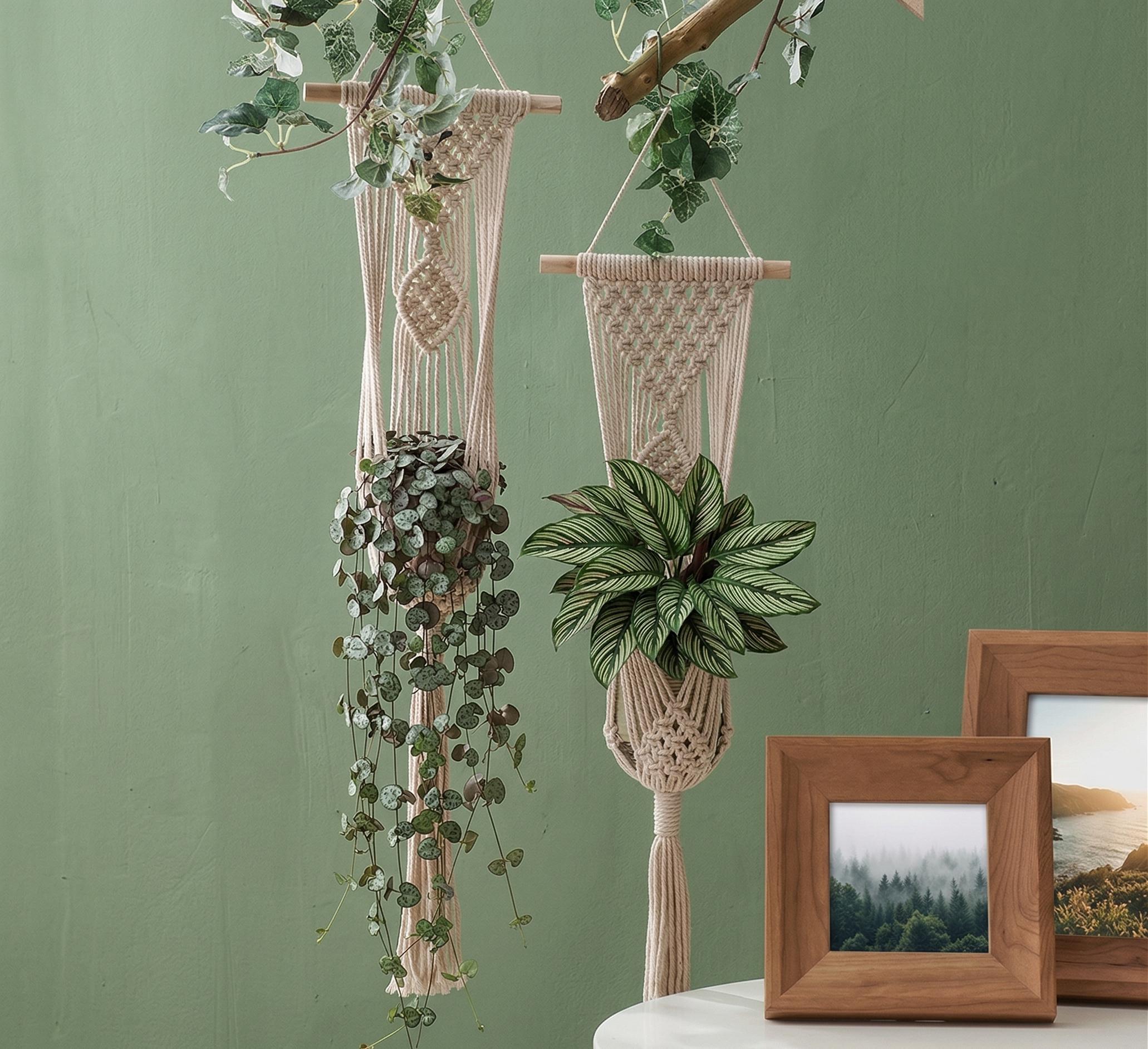 6 Catene Portavasi In Ferro Con Fermagli, 50 Cm, Per Appendere Piante, Foto E Banner, Design Elegante Argento - 2