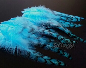 Beautiful Assorted Colour Feathers Crafts Card Making Mixed Sizes 200