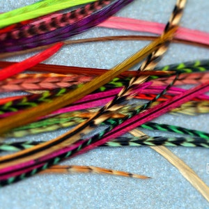 Long Feather Extensions, Bulk Hair Feathers, Hair Accessories Grizzly and Solid Hair Feather Extension Kit