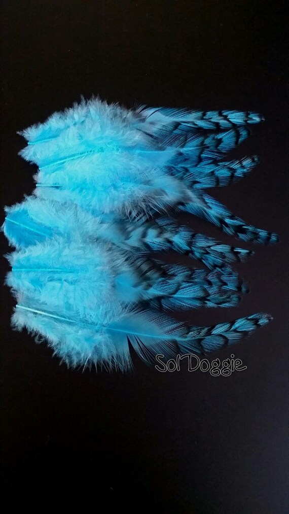 25 TURQUOISE GRIZZLY ROOSTER CAPE VARIANT HAIR CRAFT FEATHER 4"L-6"L 