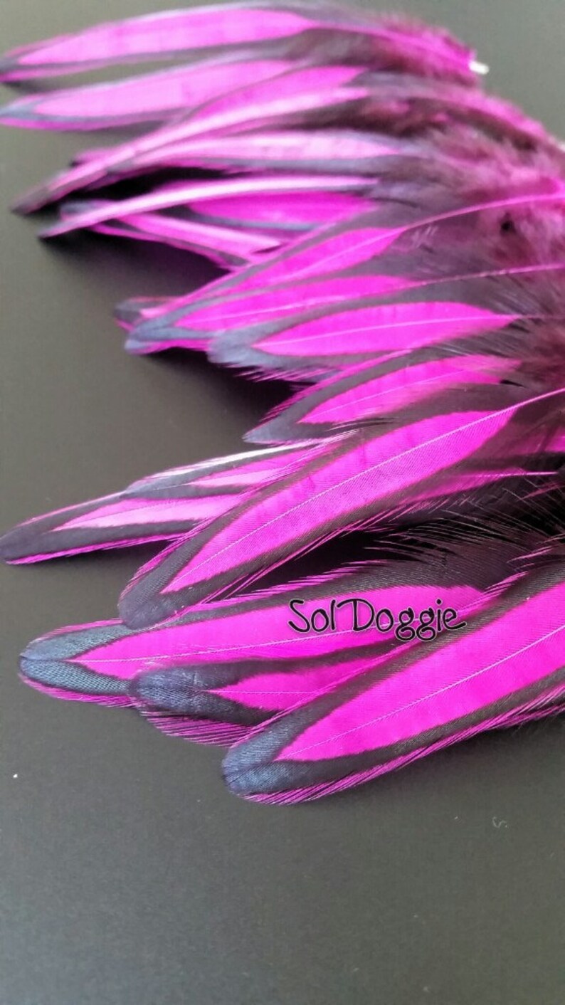 Bright Pink Feather Craft Supplies Pink Magenta Feathers for Etsy