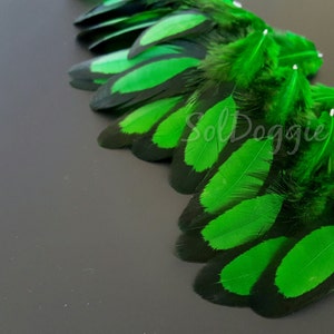 Puede incluir: Una colecci&oacute;n de plumas verdes y negras dispuestas en un dise&ntilde;o en forma de abanico en capas. Las plumas son de un verde brillante con bordes negros.