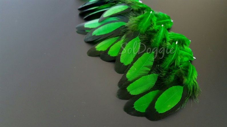 Puede incluir: Una colecci&oacute;n de plumas verdes y negras dispuestas en un dise&ntilde;o en forma de abanico en capas. Las plumas son de un verde brillante con bordes negros.
