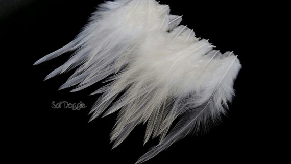 White Feathers Hair Supplies White Craft Feathers Bridal Accessories  Wedding Hair Feathers White Craft Supplies 