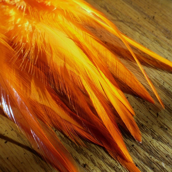 Orange Feathers for Holiday Crafts, Wholesale Feathers, Qty 12