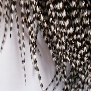 Long Grizzly Feathers, Rooster Feather Accessories for Hair Feather Extensions - 8