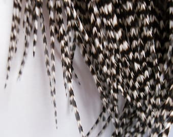 Long Grizzly Feathers, Rooster Feather Accessories for Hair Feather Extensions - 8