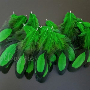 Puede incluir: Un mont&oacute;n de plumas verdes y negras con un patr&oacute;n verde y negro. Las plumas est&aacute;n dispuestas en una pila sobre una superficie gris.