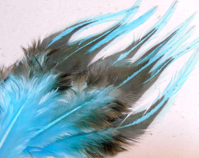 Turquoise Blue Craft Feathers Black Laced Rooster Feathers Etsy