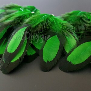 Puede incluir: Un mont&oacute;n de plumas verdes y negras con un patr&oacute;n de color verde y negro. Las plumas son suaves y esponjosas.