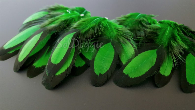 Puede incluir: Un mont&oacute;n de plumas verdes y negras con un patr&oacute;n de color verde y negro. Las plumas son suaves y esponjosas.
