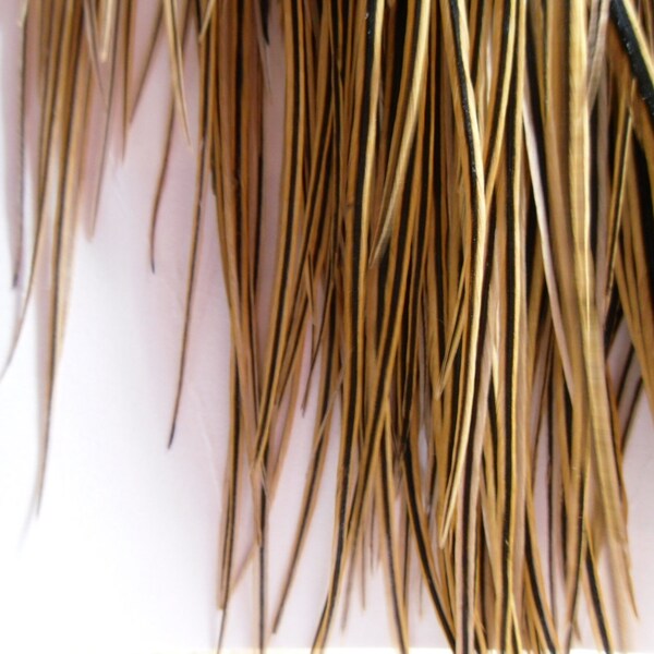 Golden Feather Extensions Hair Supplies Long Feathers for Hair Accessories Jewelry Supplies Qty5