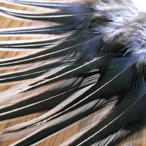 Natural Feathers for Crafts Supplies Jewelry Feathers Black Laced Rooster Craft Feathers