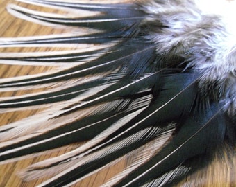 Natural Feathers for Crafts Supplies Jewelry Feathers Black Laced Rooster Craft Feathers