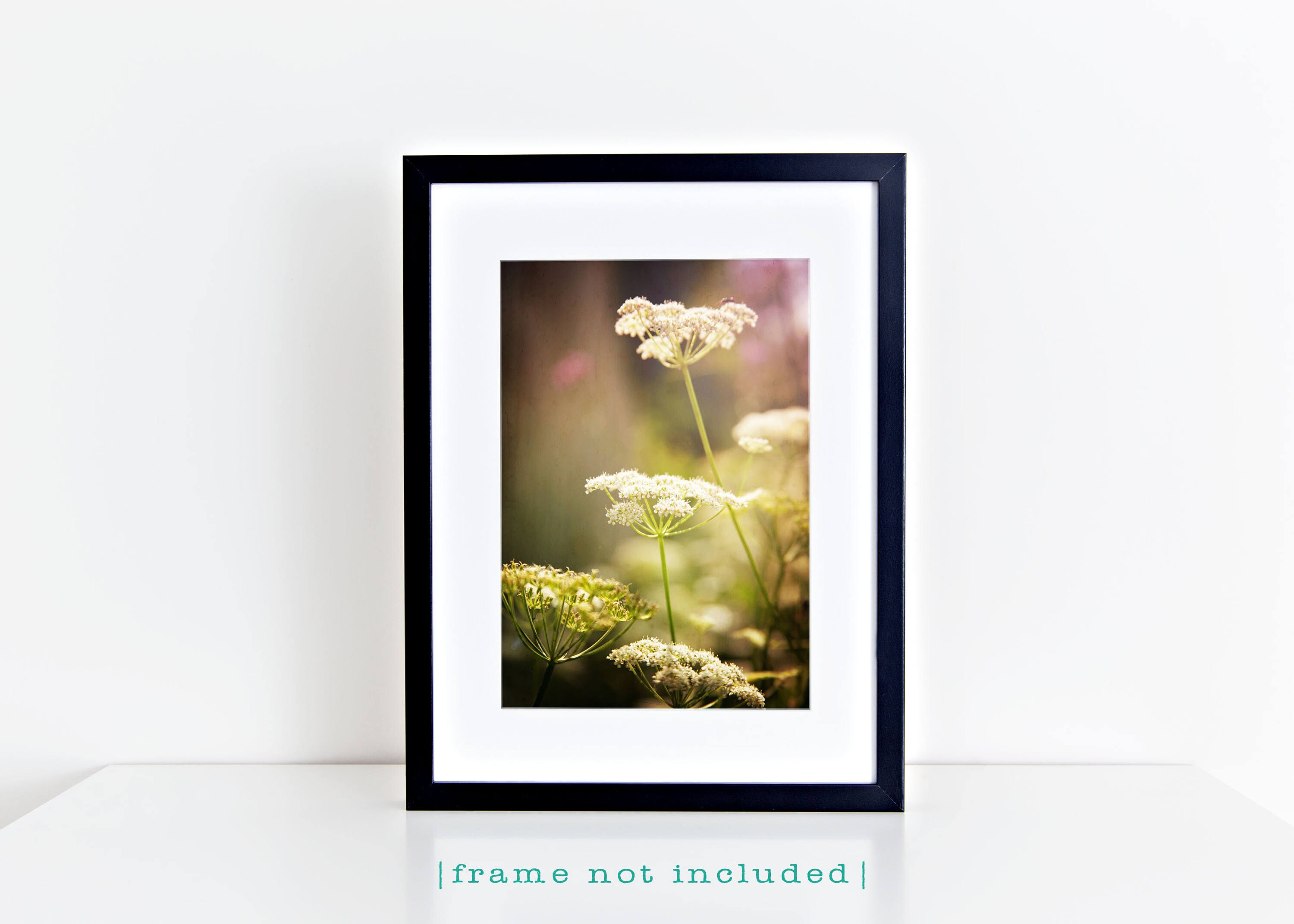 Königin Anne Spitze Fett Fine Art Fotografie dunkel schwarz | Etsy