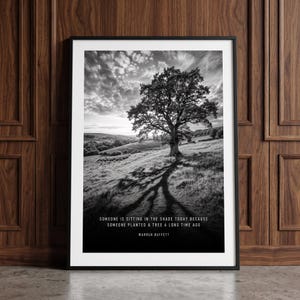 Könnte beinhalten: Ein schwarz-weiß gerahmter Kunstdruck, der einen großen Baum auf einer Wiese unter einem bewölkten Himmel zeigt. Der Text lautet: SOMEONE IS SITTING IN THE SHADE TODAY BECAUSE SOMEONE PLANTED A TREE A LONG TIME AGO. WARREN BUFFETT.
