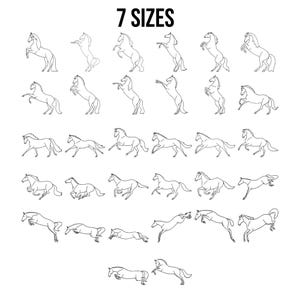 May include: Black and white line drawings of horses in various poses, including rearing, galloping, and jumping. The text "7 SIZES" is displayed above the illustrations. The drawings are arranged in rows and columns.
