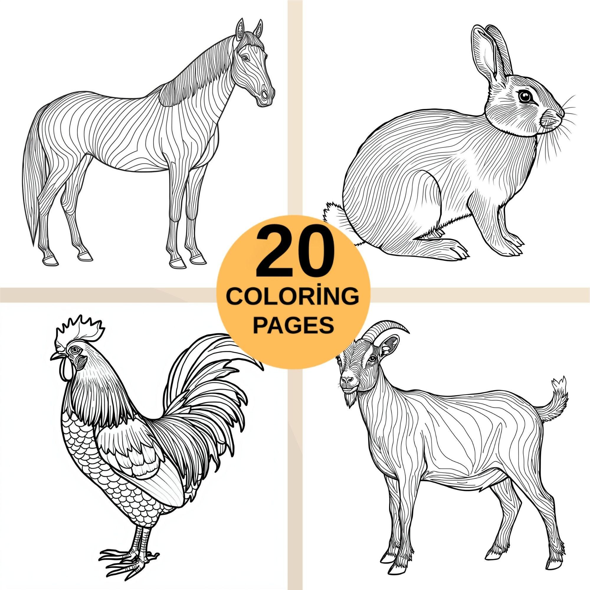Coloring In Animals Animal Coloring Pages Bundle Printable, 20 Detailed Wildlife & Farm ...