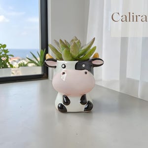 Könnte beinhalten: Ein keramischer Kuh-Blumentopf mit einer Sukkulentenpflanze. Der Topf ist weiß mit schwarzen Flecken, einer rosa Nase und schwarzen und gelben Ohren. Der Text "Calira" befindet sich oben rechts. Die Sukkulente hat grüne Blätter.