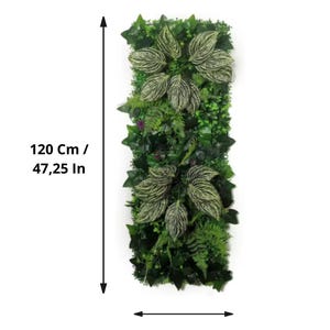 May include: A rectangular artificial plant wall, 47.25 inches tall and 15.75 inches wide, featuring a variety of green foliage. The design includes large, patterned leaves and smaller, textured greenery, creating a dense, natural look.