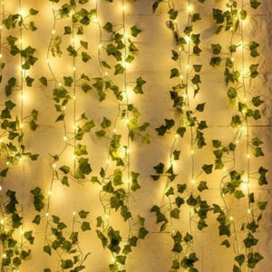 hedera kaufen Efeu Hedera Helix 'Gold Child' Zimmerpflanze Ø24cm 60cm kaufen main image 1