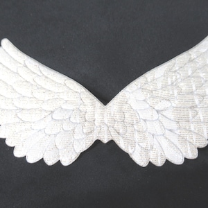 May include: A pair of white, embroidered angel wings with a textured, feathery design. The wings are symmetrical and spread out, with a slight shimmer. The background is a solid black.
