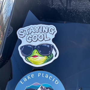 Staying Cool Frog Sticker | Die Cut Matte Vinyl Y2K Aesthetic