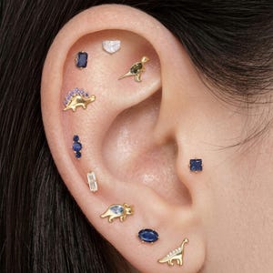 Op de afbeelding: Een collectie goudkleurige oorpiercings met diverse ontwerpen, waaronder drie dinosaurusvormen, een doorzichtige hartvormige knop, een vierkante blauwe steen, een rechthoekige doorzichtige steen, een cluster van drie blauwe stenen en een ovale blauwe steen.