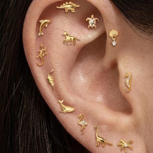 Puede incluir: Una colección de pendientes de botón dorados con formas de animales y motivos naturales, incluyendo un dinosaurio, tortuga, delfín, caballo, lagarto, ballena, flamenco, caballito de mar, concha y palmera, algunos con pequeñas piedras.