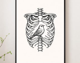Rib Cage with Bird Art Print – Tattoo Inspired Anatomical Illustration