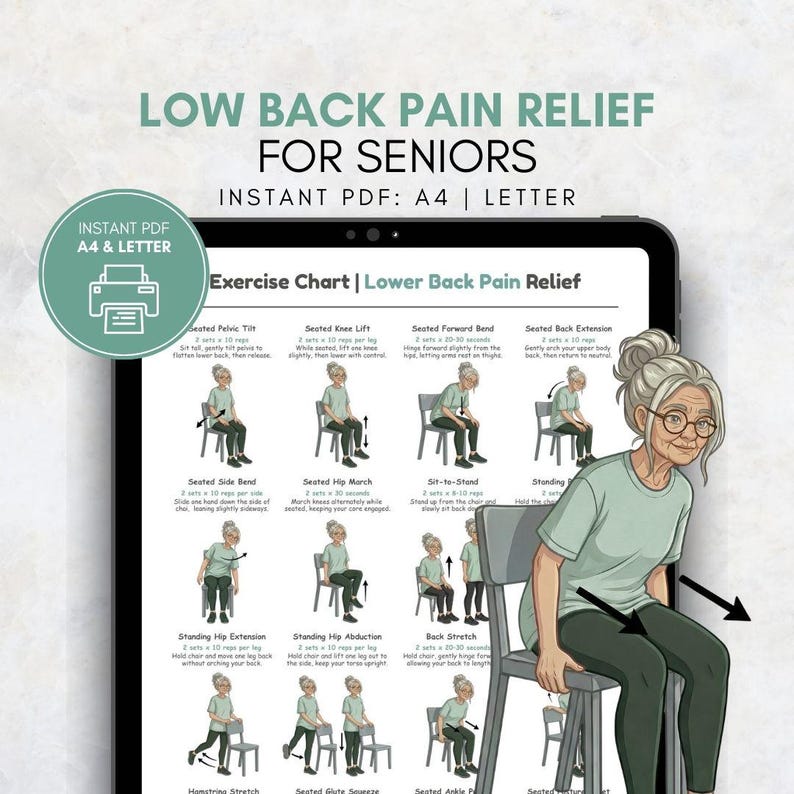 lower-back-pain-relief-for-seniors-printable-chair-exercises-for