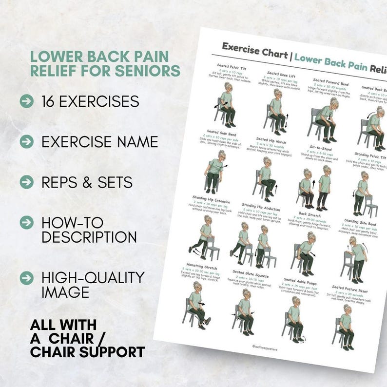 Lower Back Pain Relief for Seniors, Printable Chair Exercises for ...
