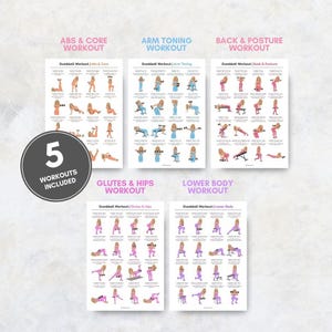 May include: Five workout posters with illustrations of exercises. The posters are labeled "ABS & CORE WORKOUT", "ARM TONING WORKOUT", "BACK & POSTURE WORKOUT", "GLUTES & HIPS WORKOUT", and "LOWER BODY WORKOUT". A circular graphic reads "5 WORKOUTS INCLUDED".