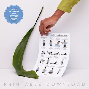Pu&ograve; includere: Un foglio stampabile bianco con illustrazioni di esercizi e il testo "Exercises | Nervous System Reset" &egrave; tenuto in mano. Una grande foglia verde &egrave; posizionata a sinistra. Il foglio ha anche un cerchio blu con un'icona della stampante e il testo "Instant PDF A4 & Letter".